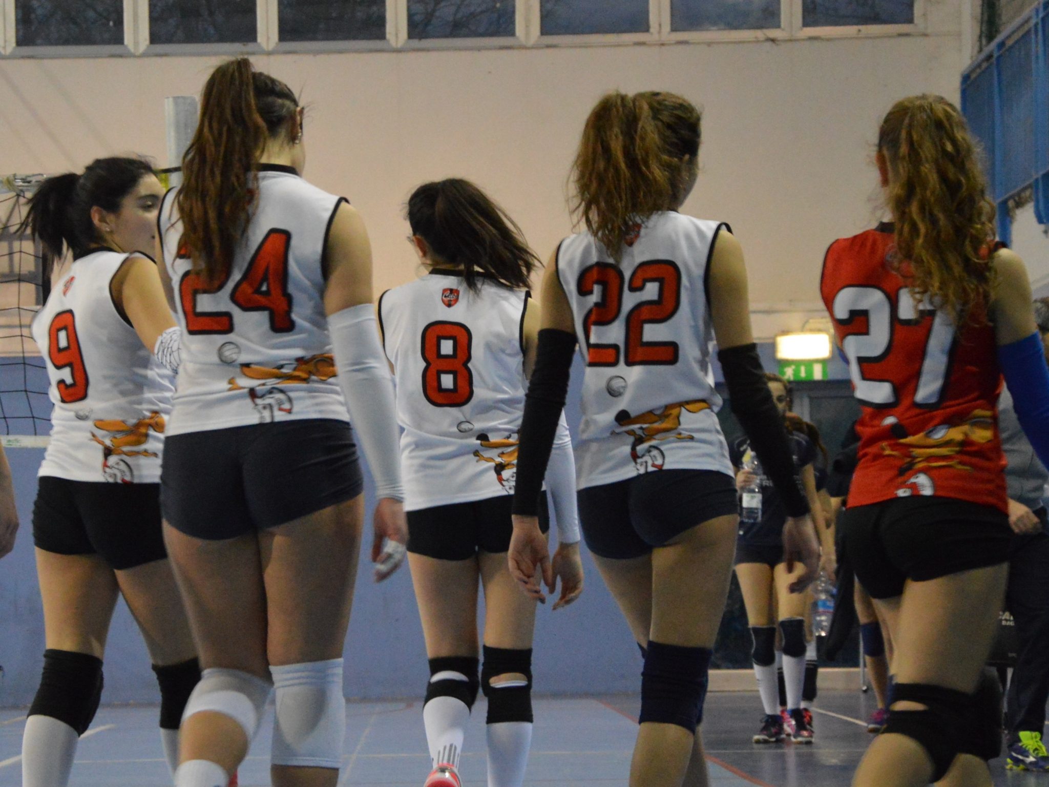 Pallavolo CUS Parma A.S.D.