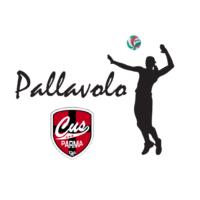 Pallavolo