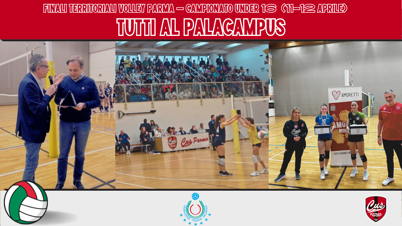 volley palacampus